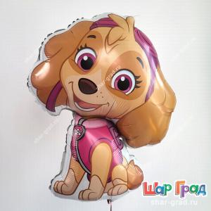 Шар фигура Скай