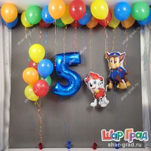 Фонтан, Чейз, Маршалл и шары под потолок мальчику на 5 лет