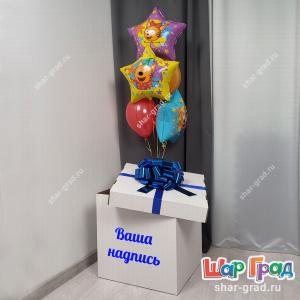 Коробка сюрприз с наполнением шарами Три кота
