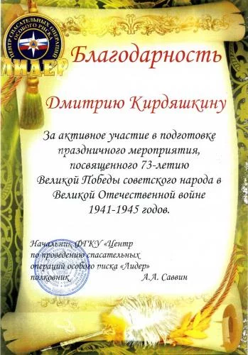 Благодарность Дмитрию Кирдяшкину